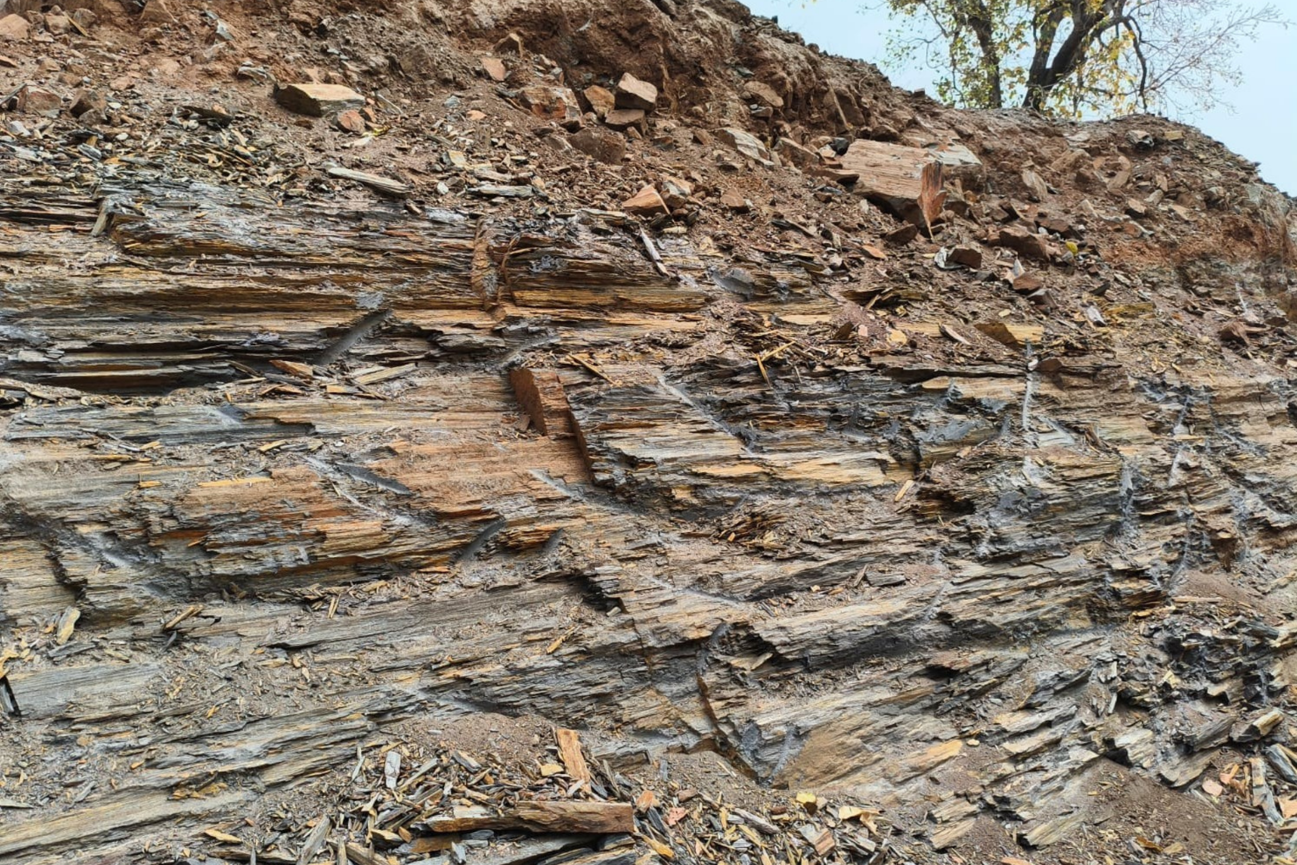 Graphite in Balangir Digging into Economic Potential (1)